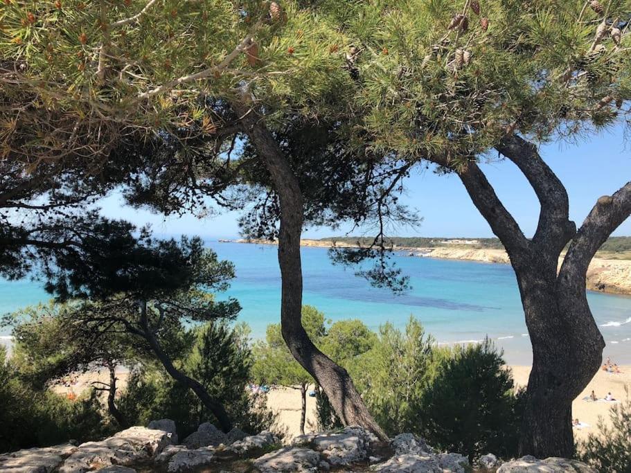 Mazet Provencal Au Coeur Des Alpilles La Reverie Maussane-les-Alpilles Extérieur photo